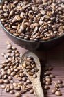Coffee beans in bowl and on spoon — Stock Photo