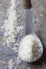 Spoonful of Guerande salt — Stock Photo