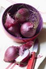 Cipolle rosse in ciotola — Foto stock