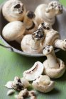 Cogumelos frescos com solo — Fotografia de Stock