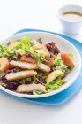 Mixed leaf salad with chicken and nectarines — Stock Photo
