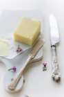 Pecorino cheese with knifes — Stock Photo
