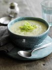Classic leek and potato soup — Stock Photo