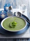 Cream of spinach and sage soup — Stock Photo