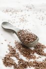 Flax seeds on spoon — Stock Photo