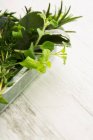 Hierbas verdes frescas - foto de stock
