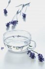 Xícara de vidro de chá de lavanda — Fotografia de Stock