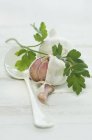 Bulbs of dried garlic — Stock Photo