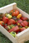 Colorful Heirloom tomatoes — Stock Photo