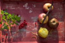 Свіжі яблука та лимони — стокове фото