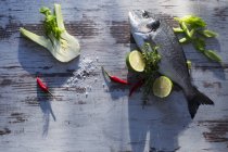 Gilthead fish with herbs and celery — Stock Photo