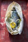 Roasted sea bream in greaseproof paper — Stock Photo