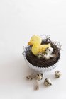 Biscuits et œufs de Pâques — Photo de stock