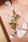Soufflé di spinaci e un piatto rotto sul pavimento — Foto stock