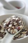 Foxnut seeds in spoon — Stock Photo