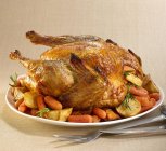 Roast turkey with rosemary — Stock Photo