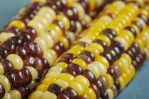 Mazorcas de maíz cocidas - foto de stock