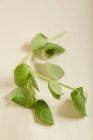Green Pea Shoots on white surface — Stock Photo