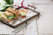 Spring rolls with vegetables and prawns served with a spicy sauce on a tray — Stock Photo