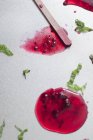 Талые грейпфруты и ледяные леденцы из ежевики — стоковое фото