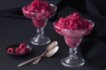 Raspberry granita in dessert — Stock Photo