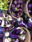 Baskets of fresh aubergines — Stock Photo