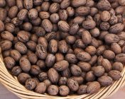 Unshelled pecan nuts — Stock Photo