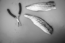 Raw mackerel fillets — Stock Photo