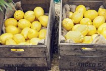 Limões em caixas de madeira — Fotografia de Stock