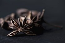 Closeup view of star anise on a black wooden background — Stock Photo