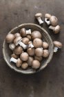 Миска свежих коричневых грибов — стоковое фото