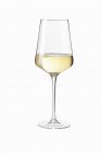 Elegante copo de vinho branco — Fotografia de Stock