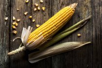 Pannocchia di mais su legno — Foto stock