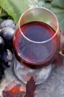 Verre de vin rouge et de raisins rouges — Photo de stock