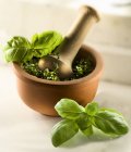 Vista close-up de manjericão Pesto em uma argamassa — Fotografia de Stock