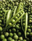 Guisantes y vainas verdes frescos - foto de stock
