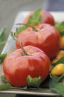 Rindersteak und gelbe Tomaten — Stockfoto