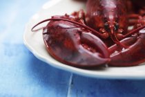 Close-up vista cortada de lagosta cozida no prato branco — Fotografia de Stock