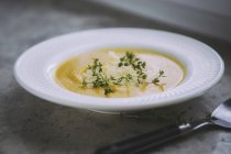 Крем з овочевого супу — стокове фото