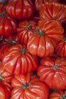 Красные помидоры Oxheart — стоковое фото