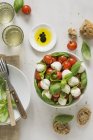 Ensalada de Caprese italiana con pan y tomates - foto de stock