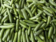 Fresh Mini cucumbers — Stock Photo