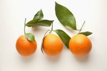 Naranjas de ombligo con hojas - foto de stock