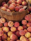 Fresh white peaches with barrel — Stock Photo
