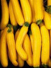 Courgettes jaunes fraîches — Photo de stock