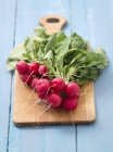 Fresh organic radishes — Stock Photo