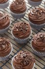 Schokoladen-Cupcakes mit Buttercreme — Stockfoto