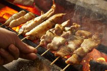 Vista close-up de mão segurando kebabs de frango em um churrasco — Fotografia de Stock
