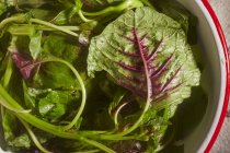 Ciotola di spinaci freschi — Foto stock