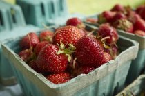 Erdbeeren in Pappbechern — Stockfoto